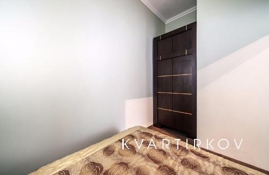 100m from the Opera Theatre, Lviv - apartment by the day