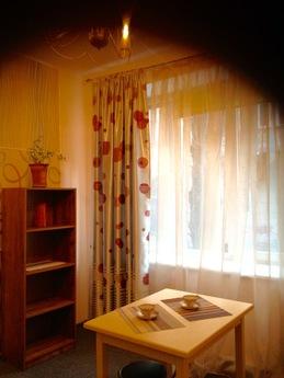 15 minutes walk to the center, Lviv - apartment by the day