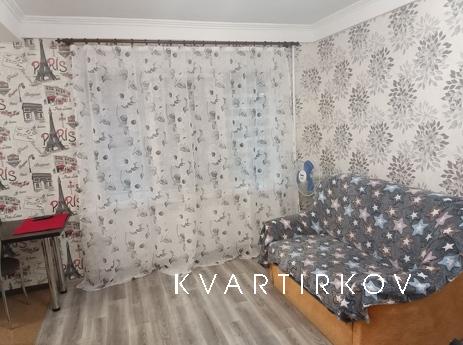 Apartment 1k Cheryomushki, Kamenskoe (Dniprodzerzhynsk) - apartment by the day