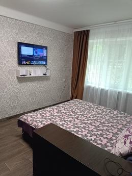 Затишна 1к квартира, Кам`янське (Дніпродзержинськ) - квартира подобово