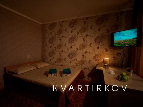 Large, bright, comfortable one-room apartment in the city ce