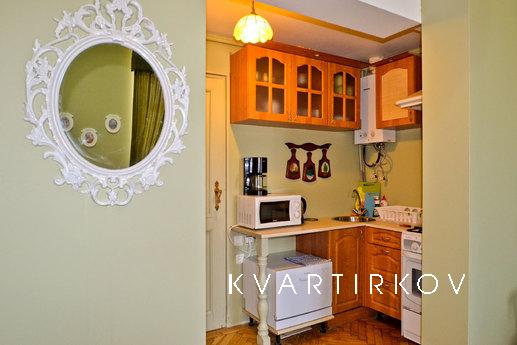 Apartment with a view., Saint Petersburg - apartment by the day