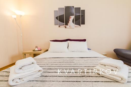 Просторная 3-квартира с двумя санузлами, Москва - квартира посуточно