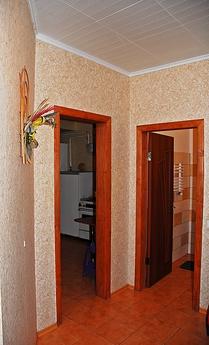 Apartment for New Year celebrations, Ivano-Frankivsk - apartment by the day