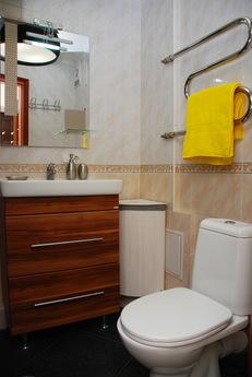 2 room apartment with new repair, Kyiv - apartment by the day