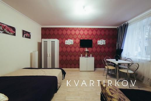 Wonderful apartment in the center, Lviv - apartment by the day
