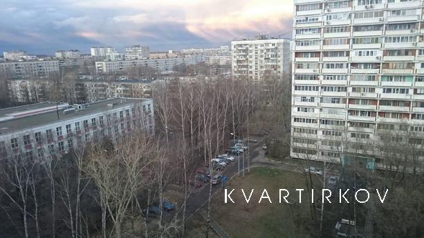 1-кімн. квартира поруч з м. Щолківська, Москва - квартира подобово