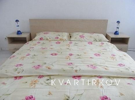 Nice 2 bedroom apartment, Moscow - apartment by the day