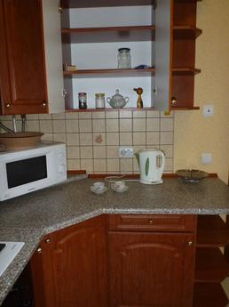 Free for now! 2 Bedrooms,Center, Wi-Fi!, Lviv - apartment by the day