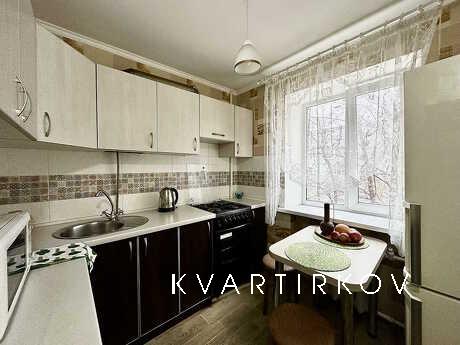 1-room apartment daily rent on Pushkin, Zaporizhzhia - apartment by the day