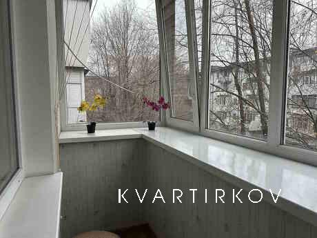 1-room apartment daily rent on Pushkin, Zaporizhzhia - apartment by the day