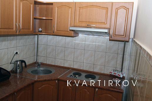 The apartment is near to the center, Lviv - apartment by the day