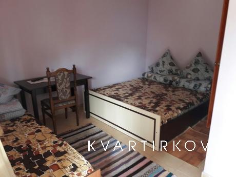 rent apartments in the private sector, Berehovo - apartment by the day