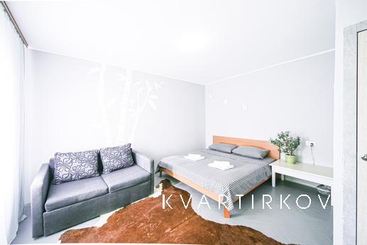 Апартаменти розташовані в центрі Києва за адресою: вул. Воло