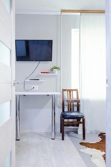 Оренда 1к квартири, Володимирська, 89, Киев - квартира посуточно