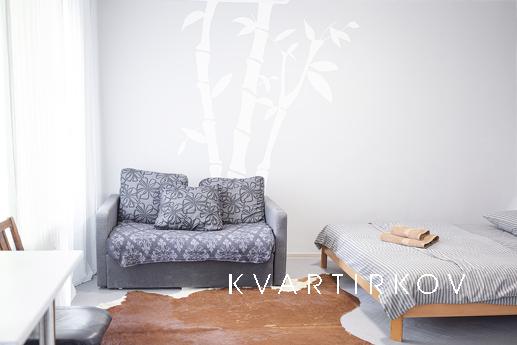 Оренда 1к квартири, Володимирська, 89, Киев - квартира посуточно