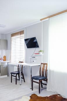 Оренда 1к квартири, Володимирська, 89, Киев - квартира посуточно