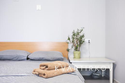 Оренда 1к квартири, Володимирська, 89, Киев - квартира посуточно