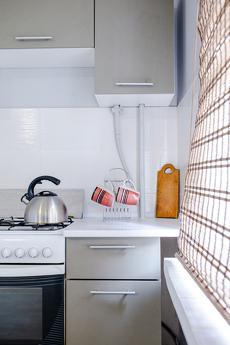 Оренда 1к квартири, Володимирська, 89, Киев - квартира посуточно