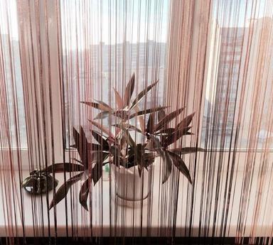 Элитная студия возле(емии), Смоленск - квартира посуточно