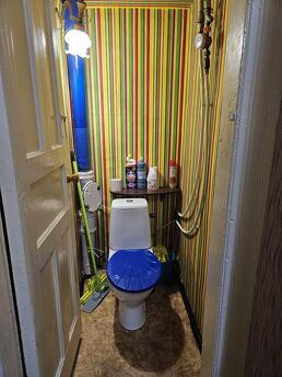 Rent 1 room apartment Vokzalna me, Kyiv - apartment by the day