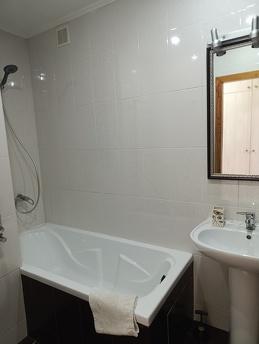 Two-room apartment in the center of the city, Chernivtsi - apartment by the day