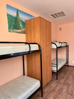 Здається хостел у центрі Києва ПІСЛЯ РЕМОНТУ метро Зверинець