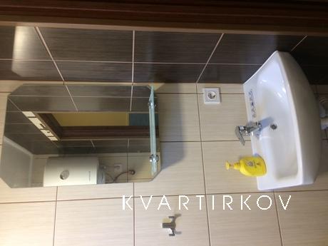 Cozy, one-bedroom apartment for rent., Lviv - apartment by the day