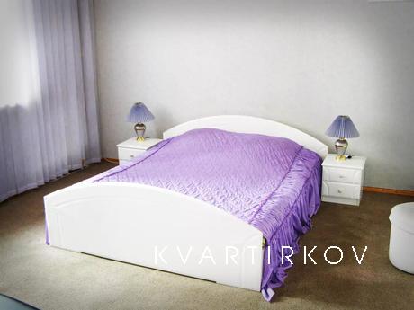 One bedroom apartment Pushkinskaya 54