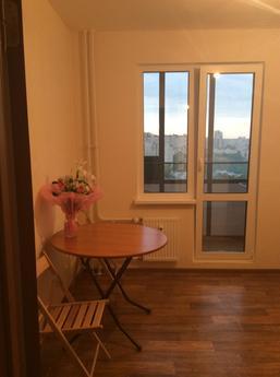 The apartment is on the Danube, Saint Petersburg - apartment by the day