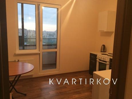 The apartment is on the Danube, Saint Petersburg - apartment by the day