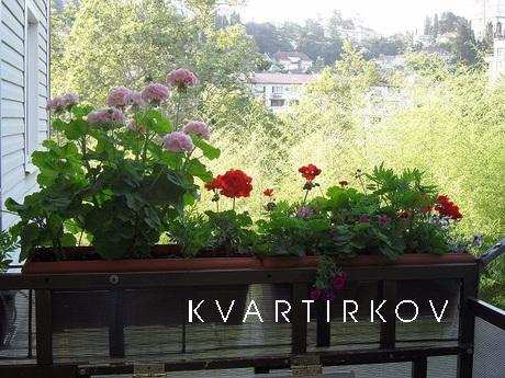 Сдаю посуточно 3х комн/кв-ру р-н Зимнего, Сочи - квартира посуточно