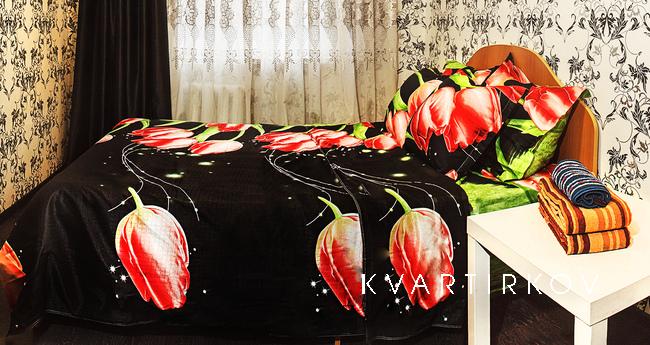 2-комнатная квартира с хорошим ремонтом, Краснодар - квартира посуточно