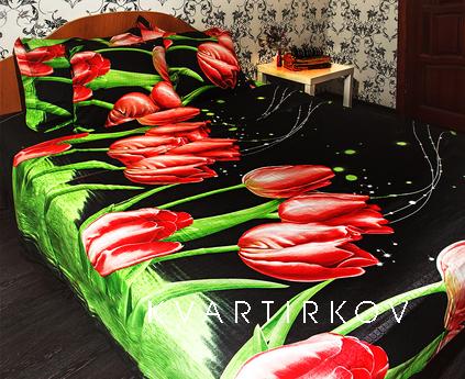 2-комнатная квартира с хорошим ремонтом, Краснодар - квартира посуточно