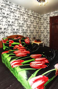 2-комнатная квартира с хорошим ремонтом, Краснодар - квартира посуточно