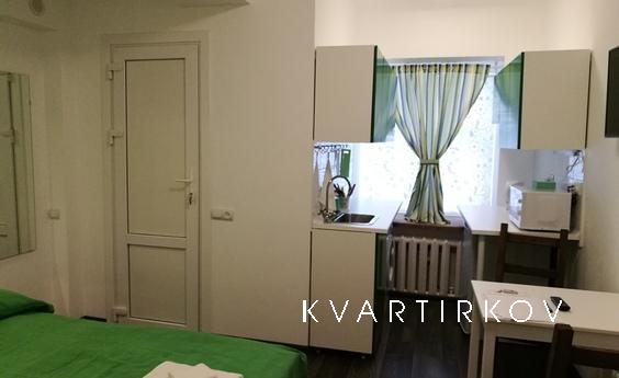 1 bedroom apartment for rent, Saint Petersburg - apartment by the day